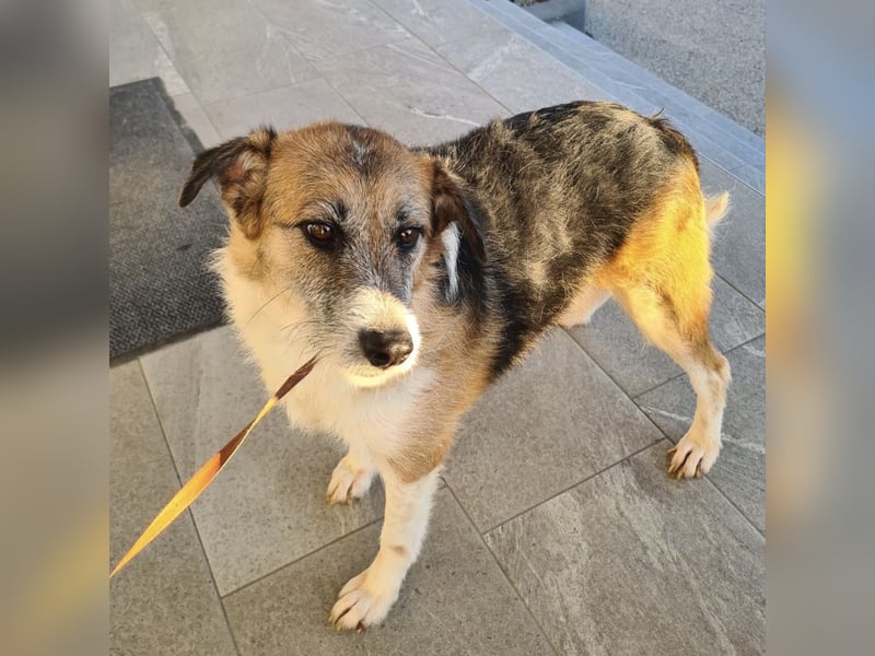 Newe die Menschenliebende