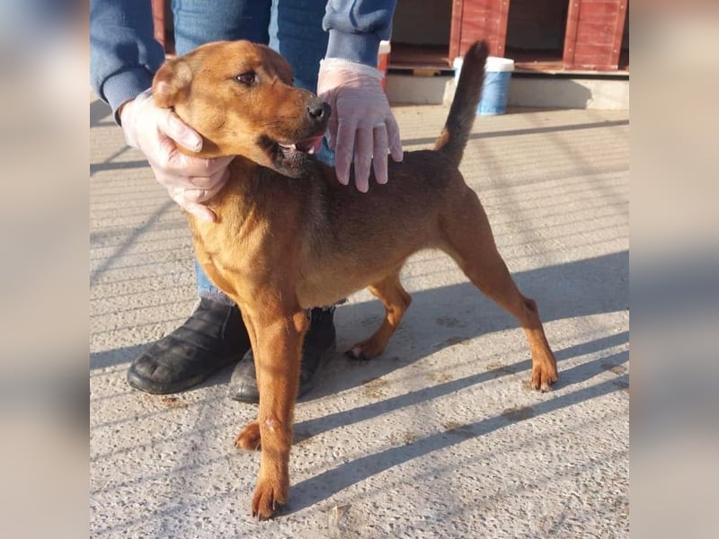 Zurück wartet viel zu lange