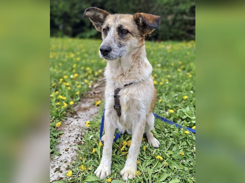 Tina - ein traumhaft lieber Wesen