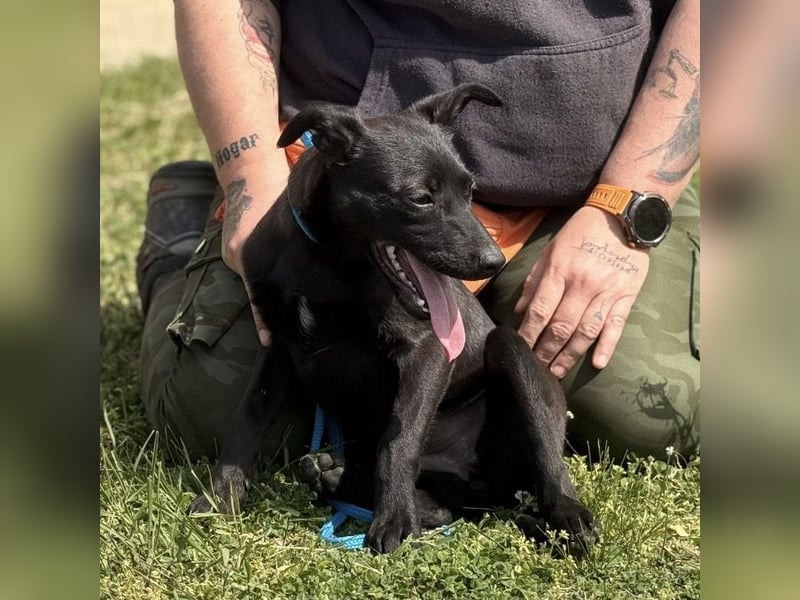 Paulina mag nicht im Tierheim aufwachsen