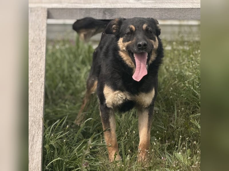 Letty ein freundliches Mädchen
