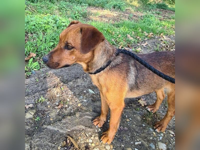 Zurück wartet viel zu lange