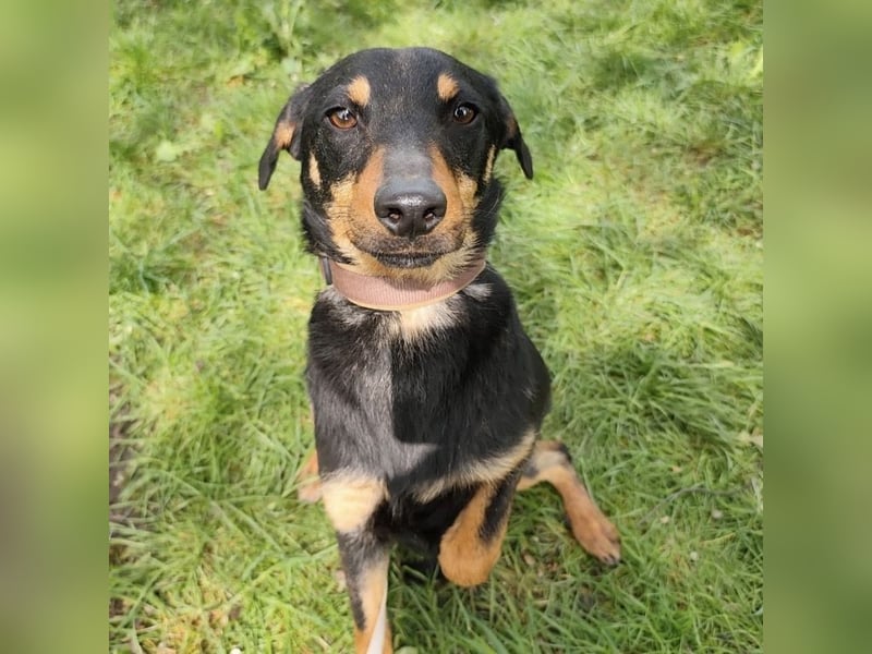 Eletta ein sanfter Engel