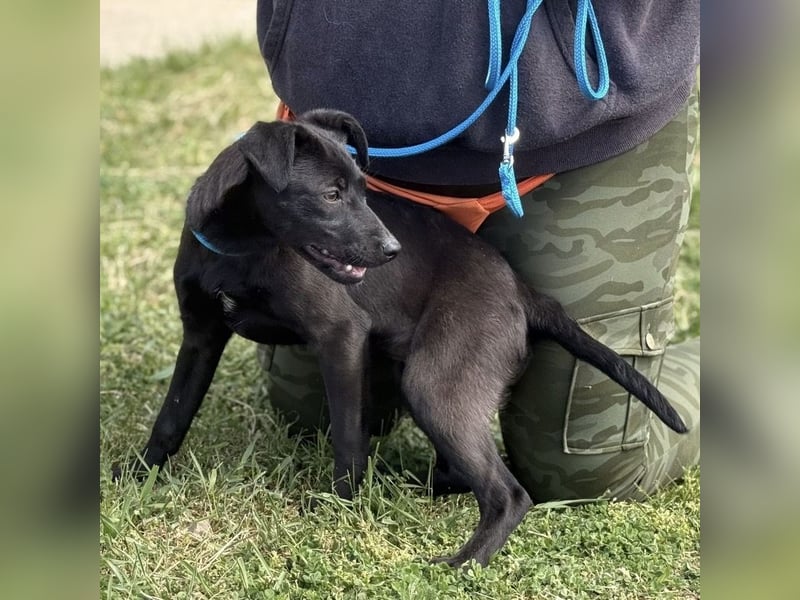 Paulina mag nicht im Tierheim aufwachsen