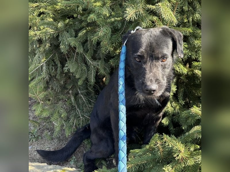 Juri ein sanfter Schatz