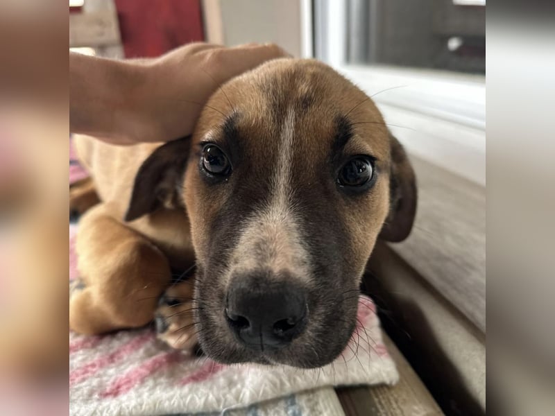 Nico ein kleiner Schatz