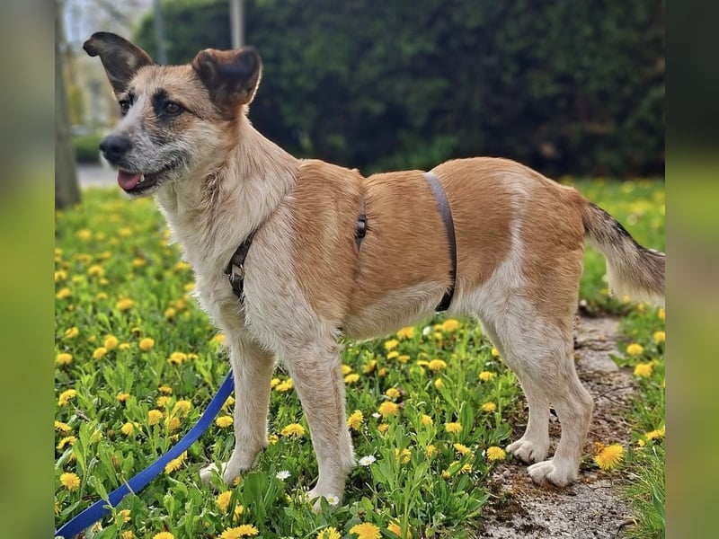 Tina - ein traumhaft lieber Wesen