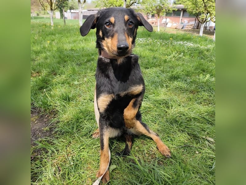 Eletta ein sanfter Engel