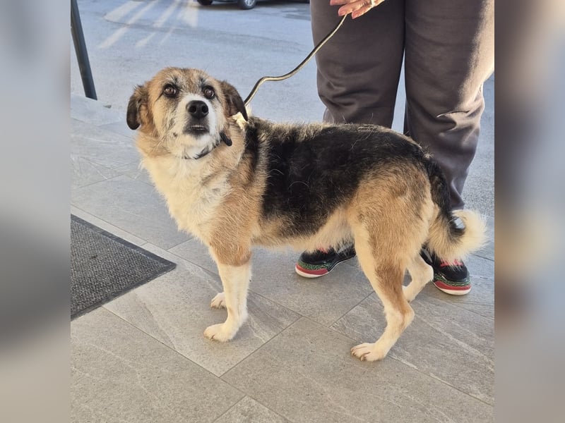 Newe die Menschenliebende