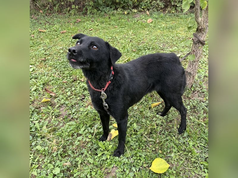 Suncica ein Sonnenschein