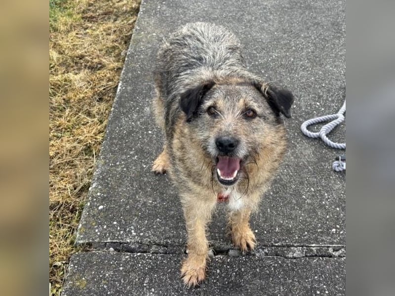 Mars der allerliebste