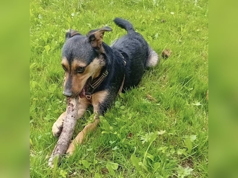 Ferdi ein kleiner freundlicher Schatz