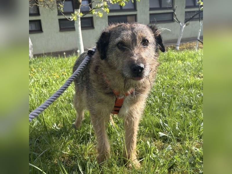 Mars der allerliebste