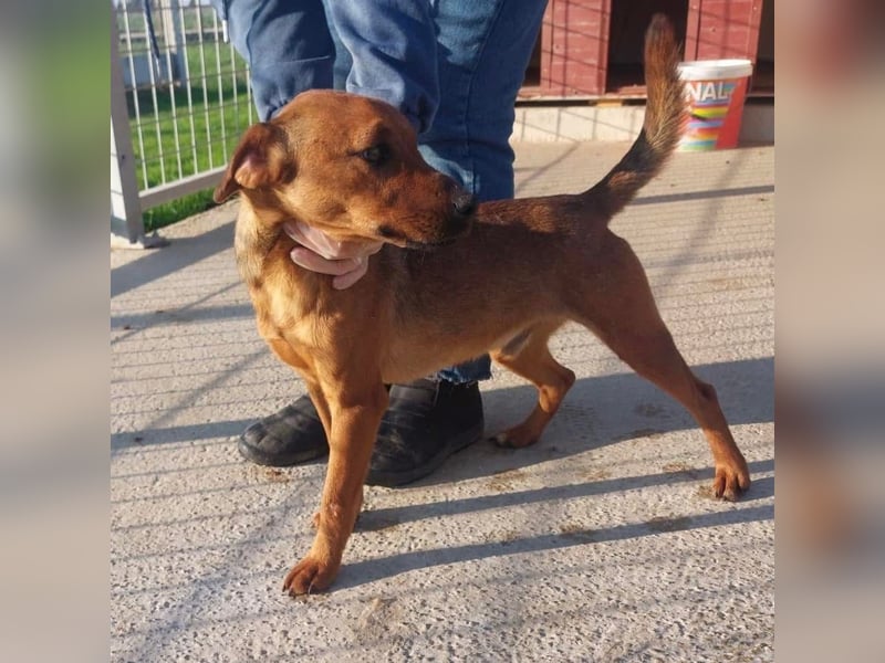 Zurück wartet viel zu lange