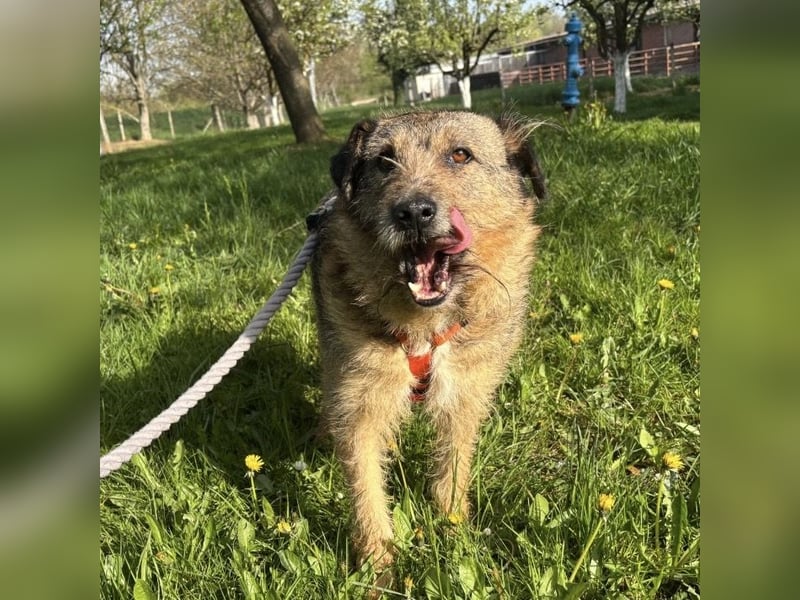 Mars der allerliebste