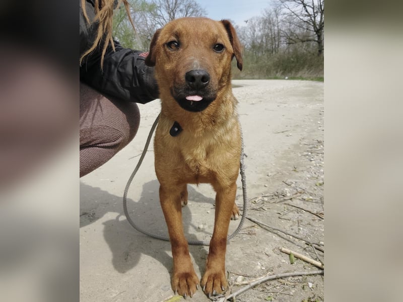 Zurück wartet viel zu lange