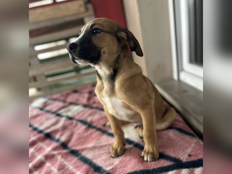 Nico ein kleiner Schatz