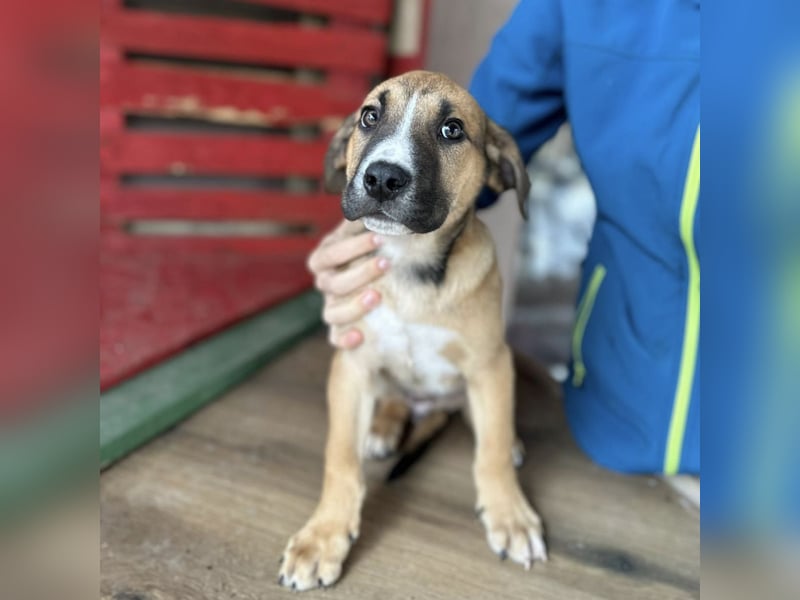 Nico ein kleiner Schatz