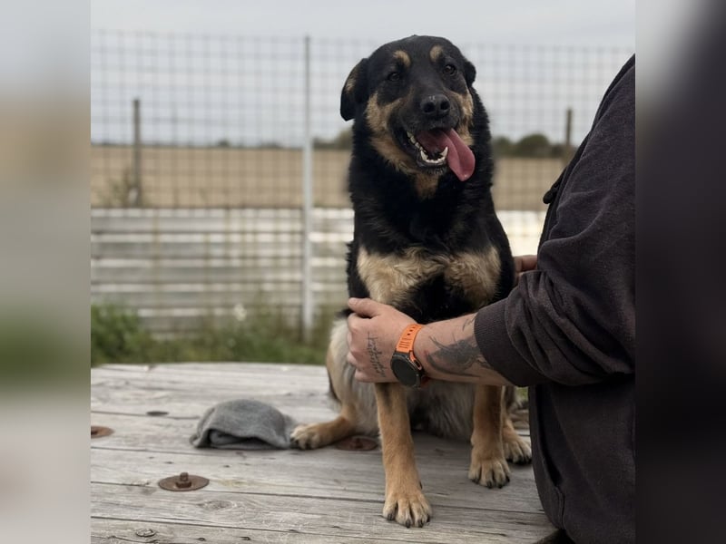 Letty ein freundliches Mädchen