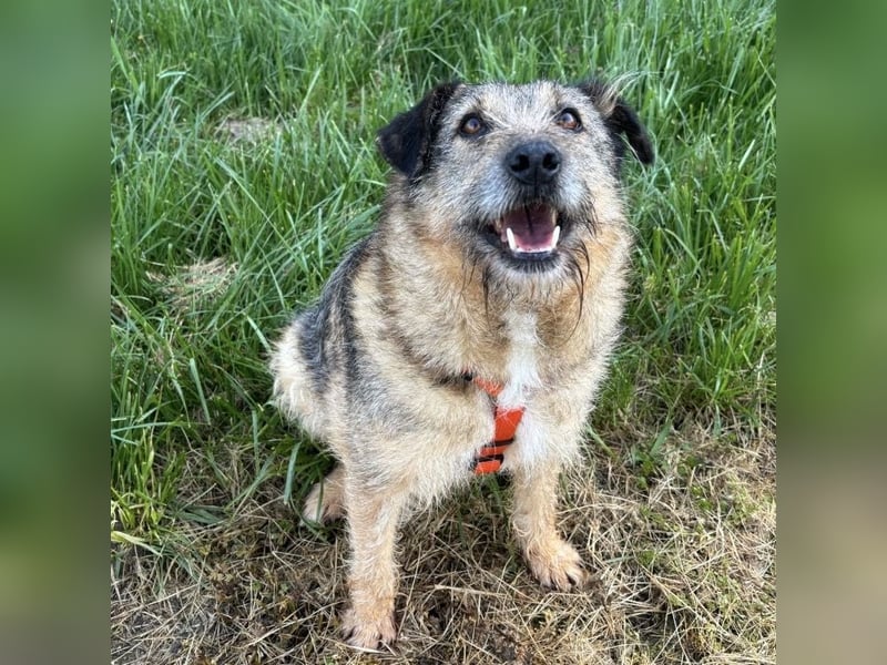 Mars der allerliebste