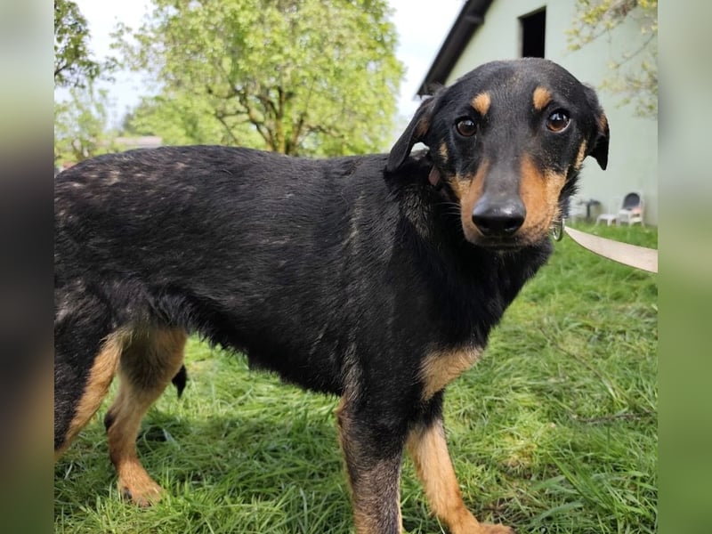 Eletta ein sanfter Engel