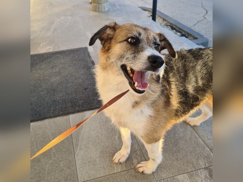 Newe die Menschenliebende