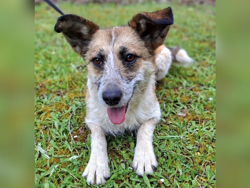 Tina - ein traumhaft lieber Wesen