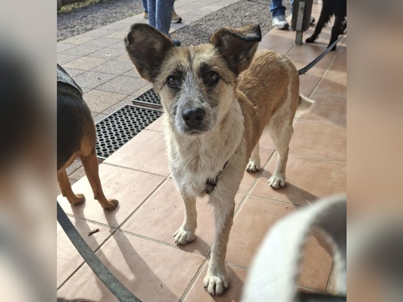 Tina - ein traumhaft lieber Wesen