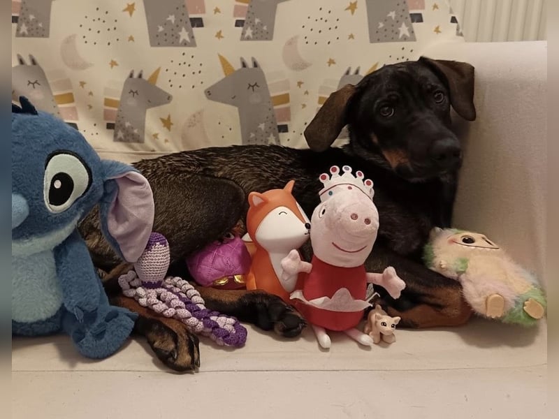 Dina ein zarter lieber Schatz