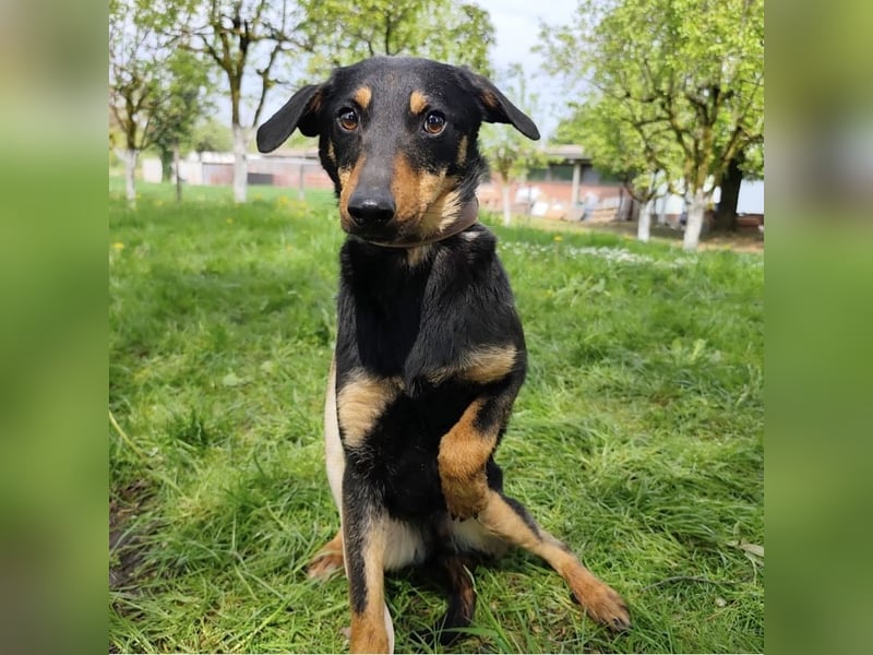 Eletta ein sanfter Engel