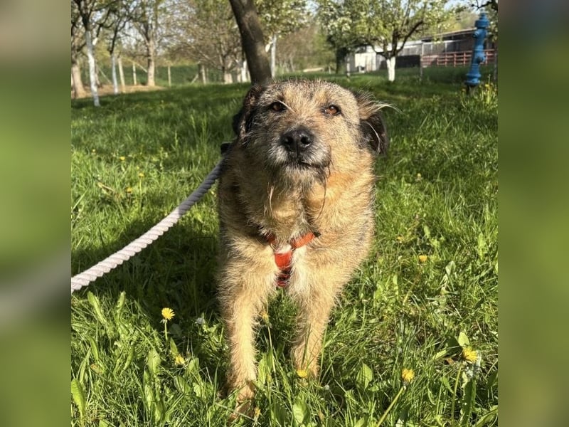 Mars der allerliebste