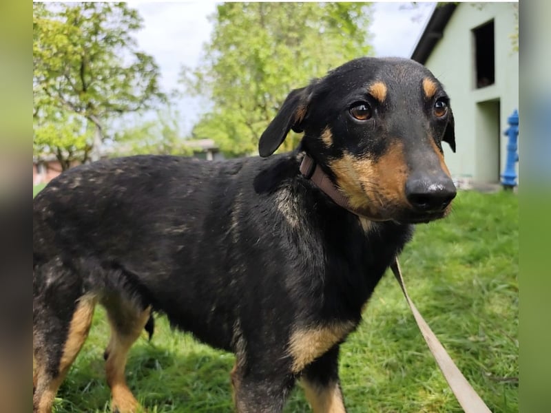 Eletta ein sanfter Engel