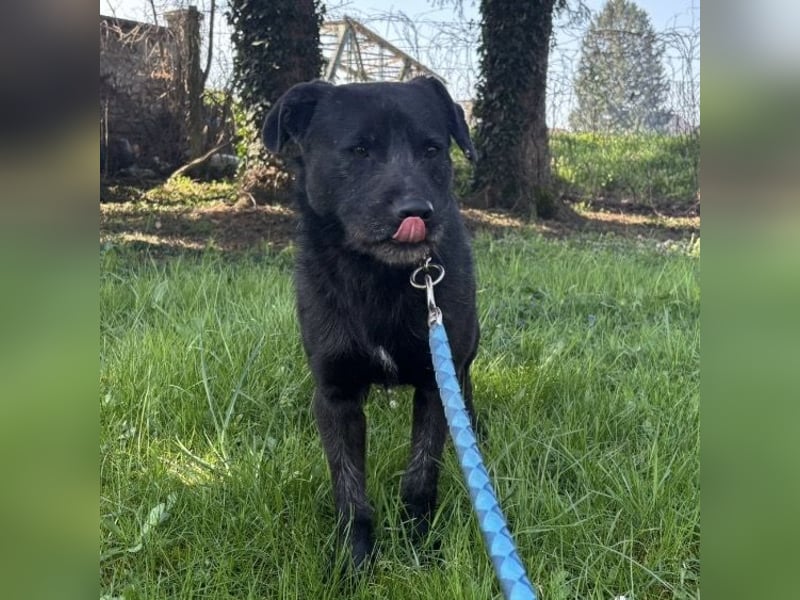 Juri ein sanfter Schatz