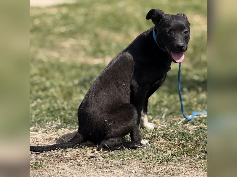 Jenny möchte nicht im Tierheim aufwachsen