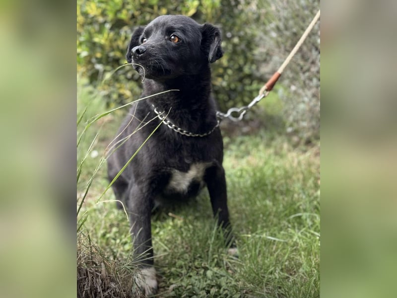 Lolica ein Engel auf Erden