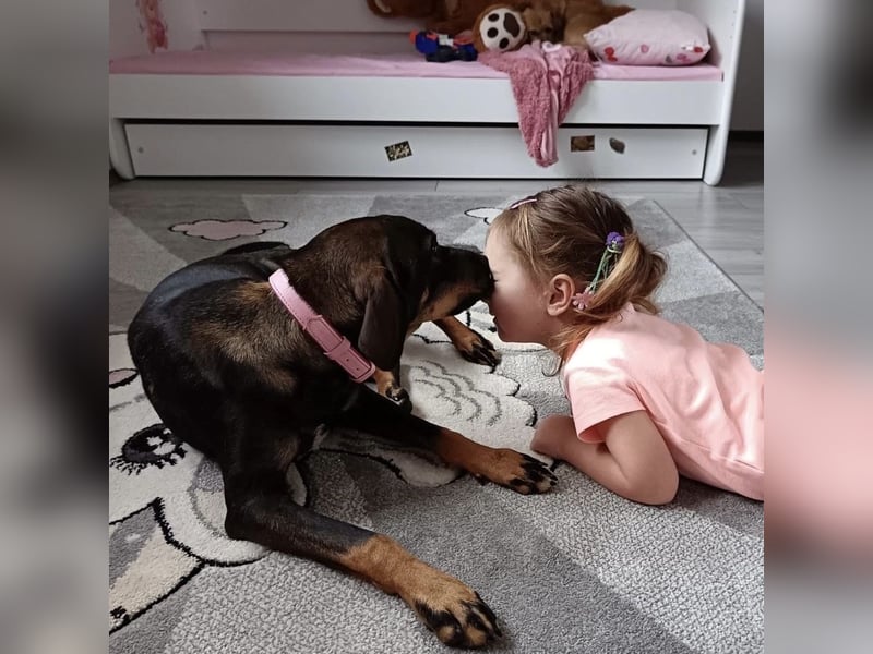 Dina ein zarter lieber Schatz