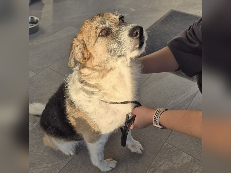 Newe die Menschenliebende