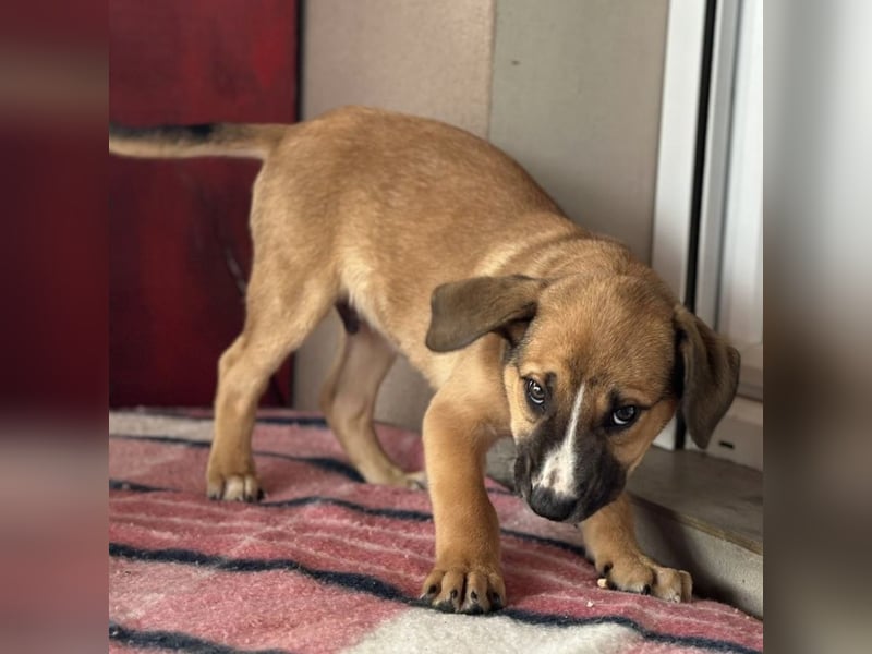 Nico ein kleiner Schatz