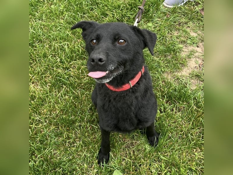 Suncica ein Sonnenschein