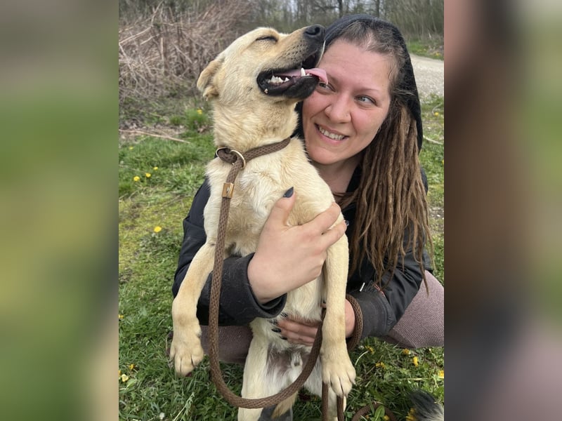 Emilio ein sanfter Engel