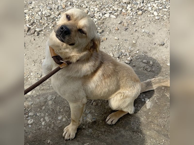 Emilio ein sanfter Engel