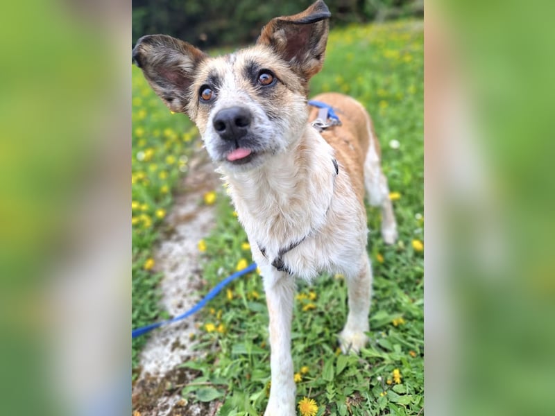 Tina - ein traumhaft lieber Wesen