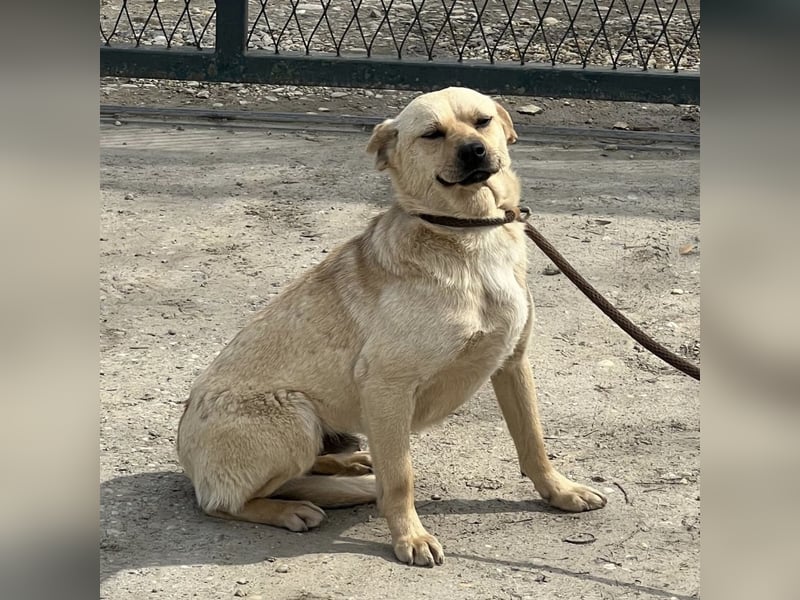 Emilio ein sanfter Engel