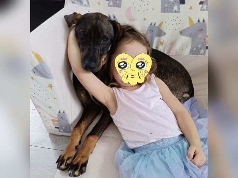 Dina ein zarter lieber Schatz