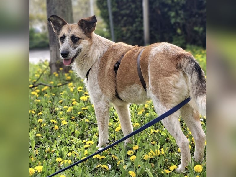 Tina - ein traumhaft lieber Wesen