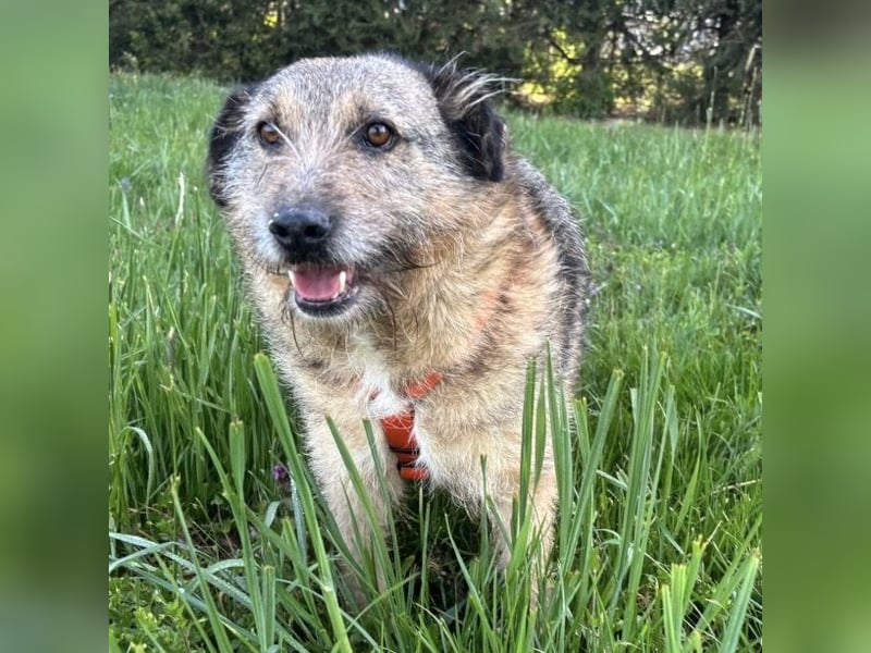 Mars der allerliebste