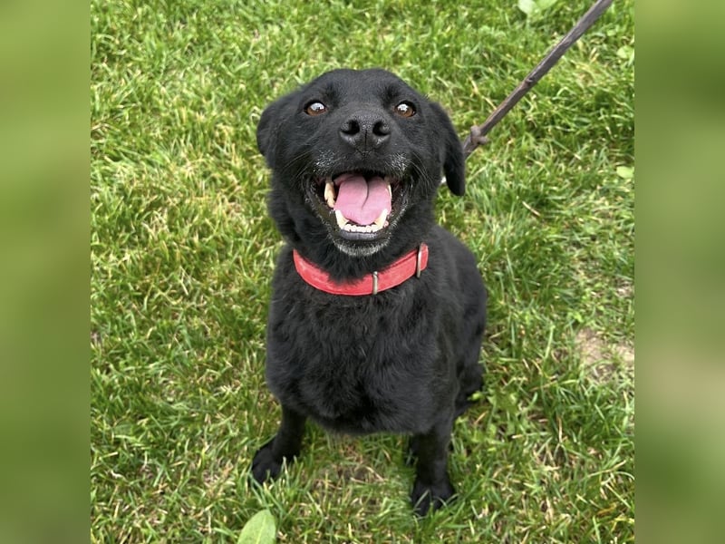 Suncica ein Sonnenschein