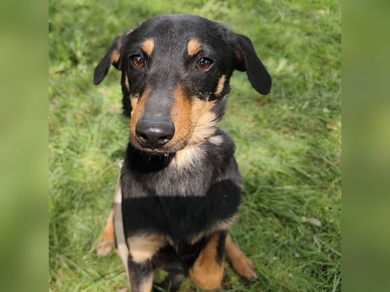 Eletta ein sanfter Engel