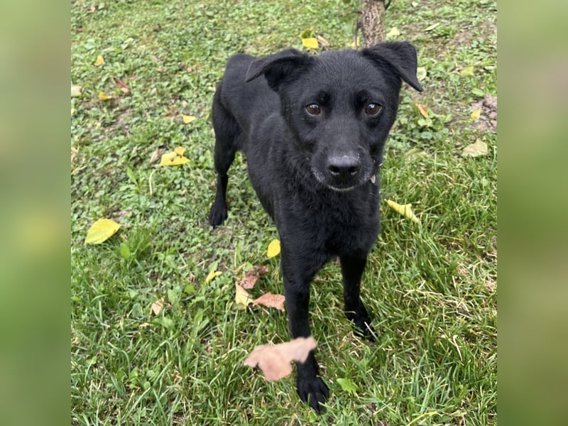 Suncica ein Sonnenschein