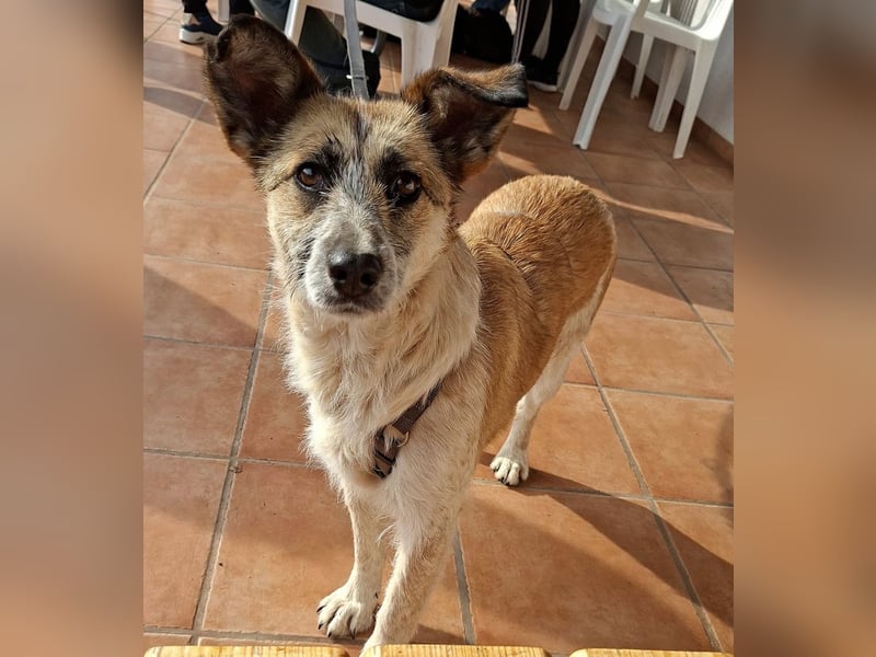 Tina - ein traumhaft lieber Wesen